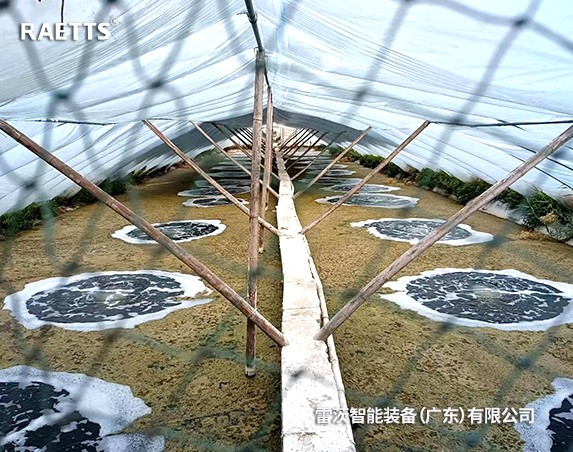 江蘇南通對蝦養殖