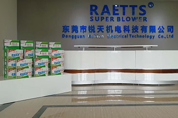 兩“節”相遇，粽情端午