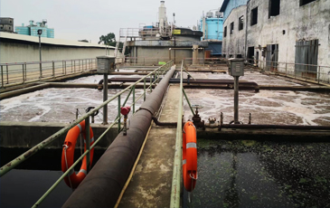 造紙行業污水處理曝氣鼓風機節能改造